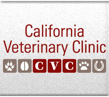 California Veterinary Clinic | California, MO